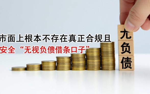 2026无视借条口子能下款吗
