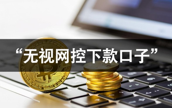 2026最新无视风控下款口子有哪些