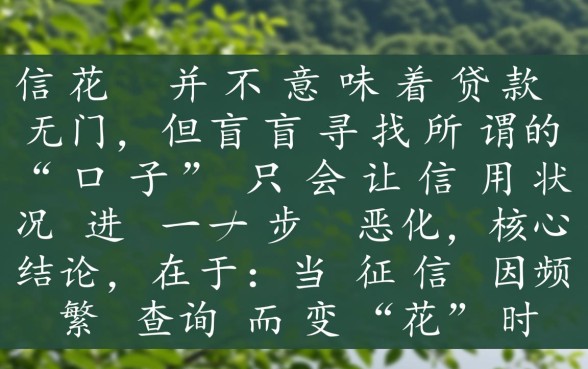 2026最新不看征信的贷款口子