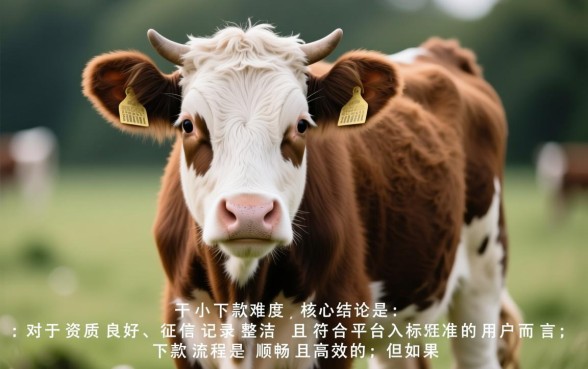 小牛呗容易下款吗,申请需要满足什么条件? 申请需要满足什么条件