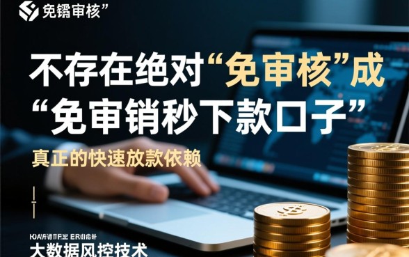 2026不用审核的贷款怎么申请