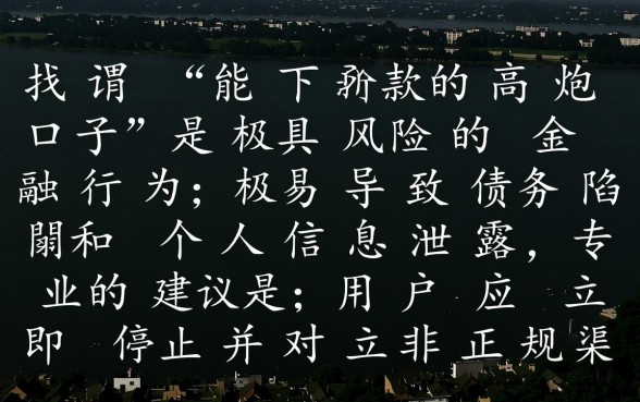 2026年最新高炮口子怎么申请