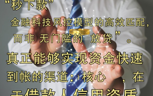 2026不用审核必下款是真的吗