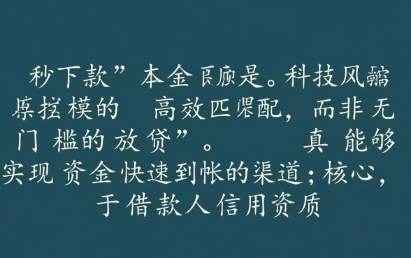 2026不用审核必下款是真的吗