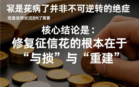 征信花了怎么养回来最快