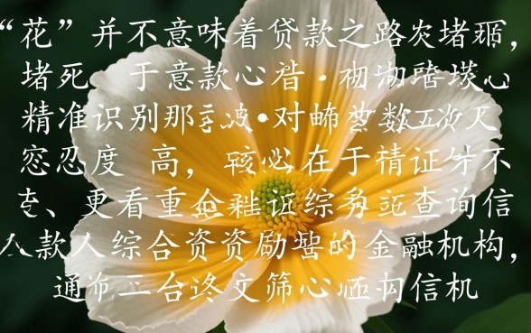 征信花能下的口子有哪些