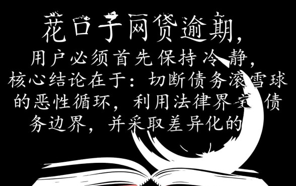 黑花口子网贷逾期后果严重吗