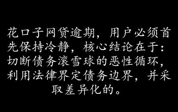 黑花口子网贷逾期后果严重吗