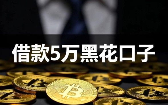 2026不用征信能下款吗