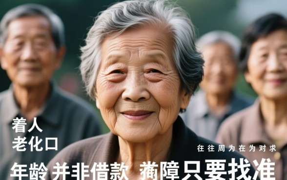 年纪大借款的口子有哪些