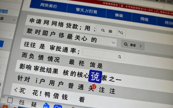 花鸭借款不看征信能下款吗