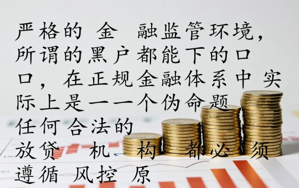 2026年不用审核的黑户贷款
