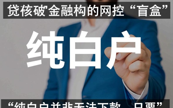 纯白户必下款口子有哪些