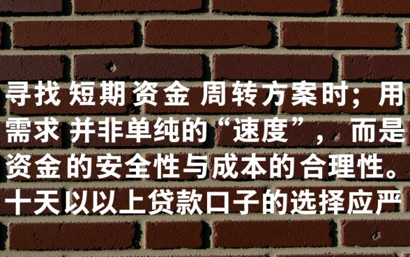 十天以上贷款口子哪里有