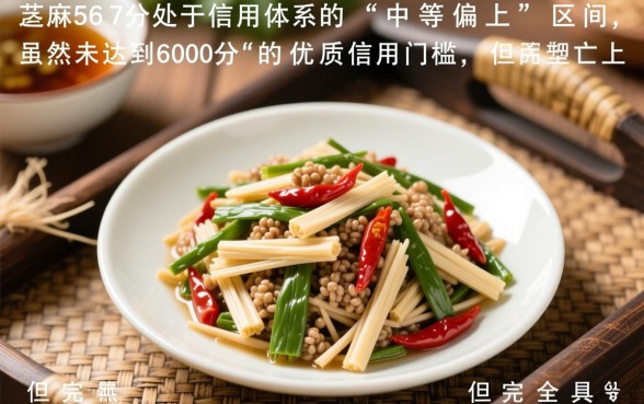 芝麻分567能借款吗