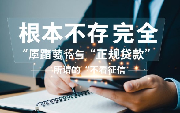 2026最新不看征信的小贷有哪些