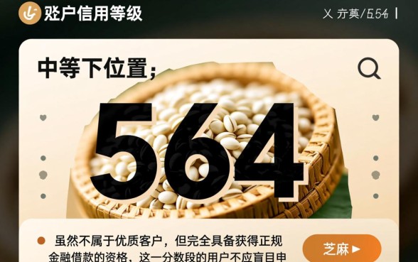 芝麻分564能借款吗,怎么申请才能秒下款? 芝麻分564能借款吗