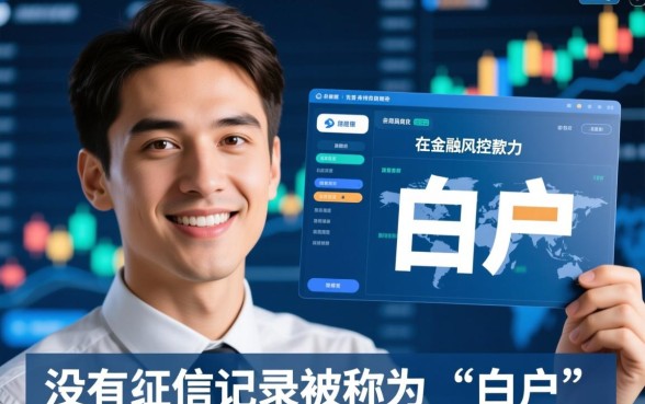 贷款没有征信信息能下款吗