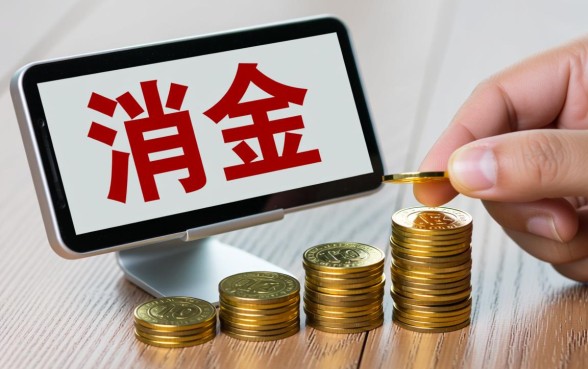 哪个APP可以分24期免息