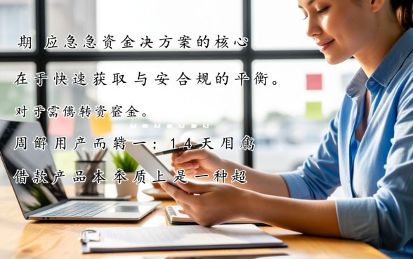 14天借款的口子在哪里找