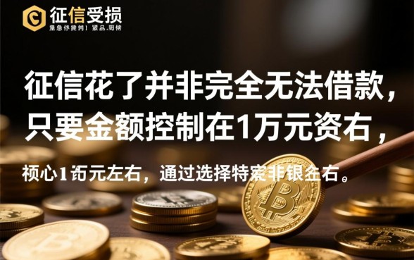 征信花了怎么借款1万