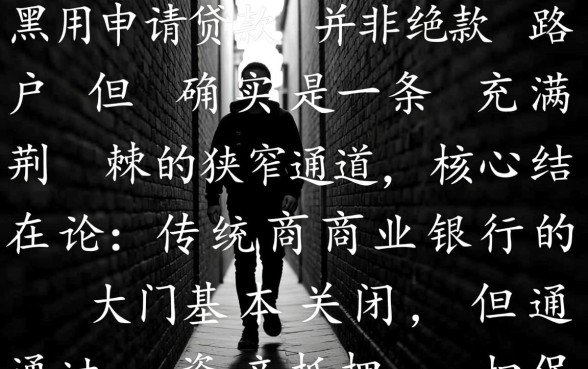 征信大数据黑了哪里还能借钱