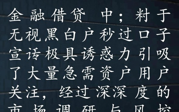 2026最新不用审核的贷款哪里有