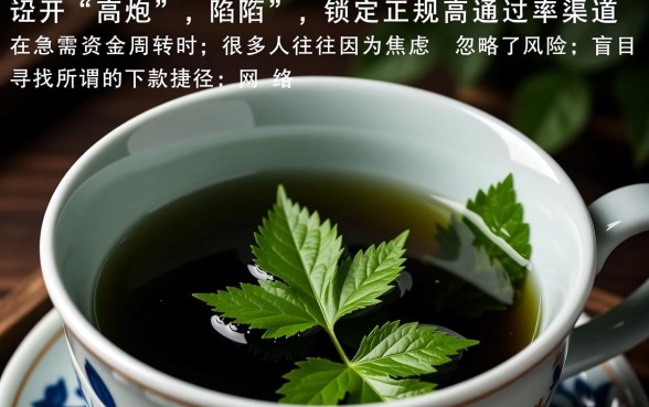 2026容易通过的高炮口子有哪些
