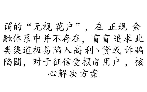 无视花户的贷款口子有哪些