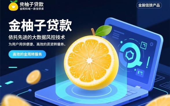 金柚子贷款最新口子怎么申请