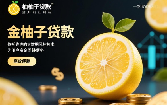 金柚子贷款最新口子怎么申请