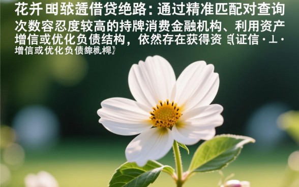 征信花能下款的口子有哪些