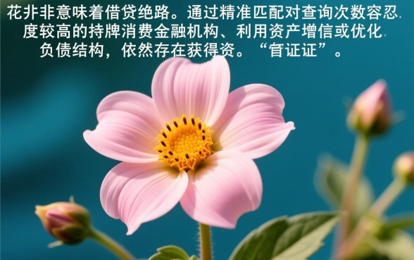 征信花能下款的口子有哪些
