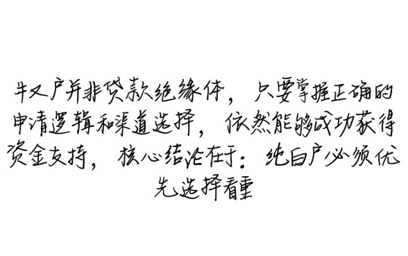 纯白户网上贷款口子有哪些