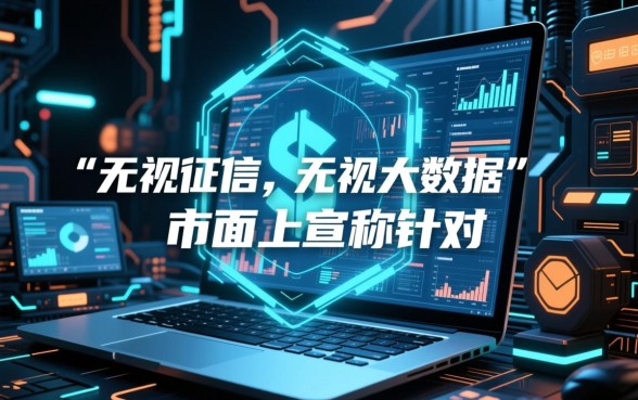 大数据网黑贷款口子怎么申请