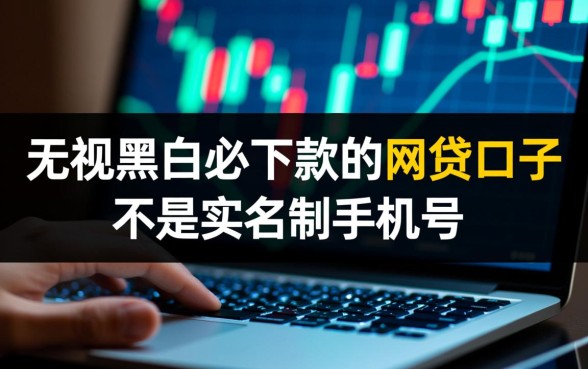 无视黑白必下款的网贷口子不用实名制手机号吗
