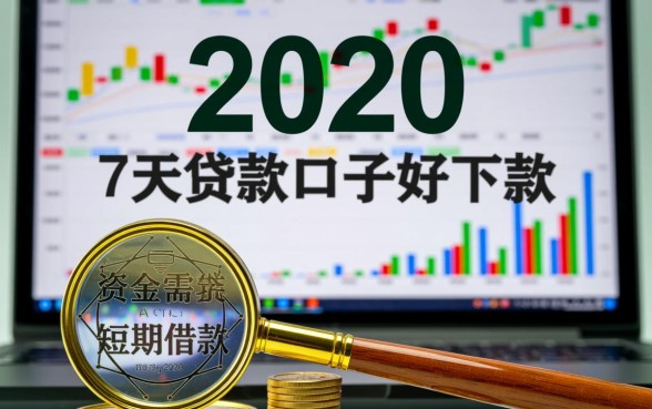 2020年7天贷款口子好下款的有哪些