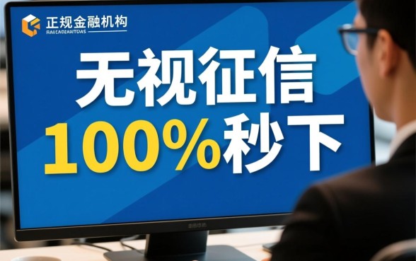 无视征信黑白100