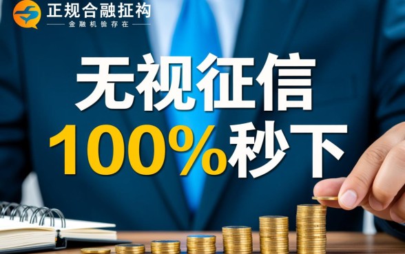 无视征信黑白100