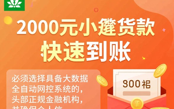 2000元小额贷款怎么申请能秒下款