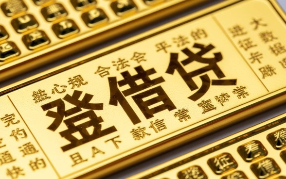 什么贷款app不看征信下款快的