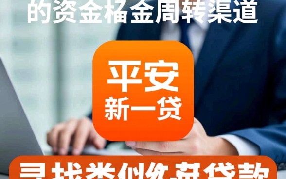 类似平安新一贷app一样的贷款口子有哪些