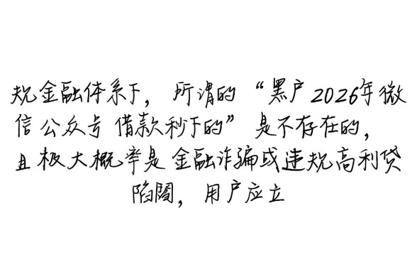 黑户2026年微信公众号借款能秒下吗