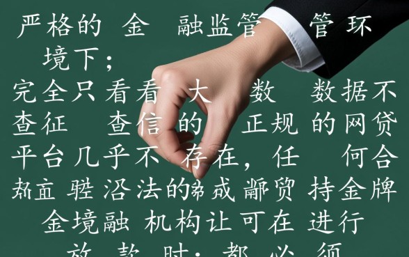 只看大数据不查征信的网贷有哪些平台