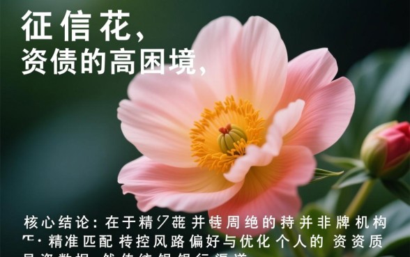 2026征信花负债高还能下款的口子有吗