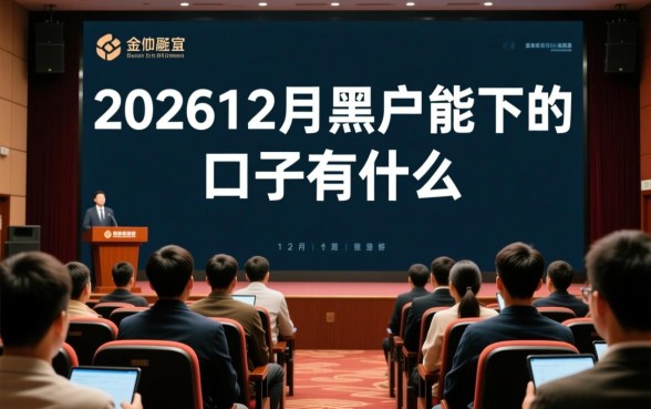202612月黑户能下的口子有什么