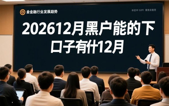 202612月黑户能下的口子有什么