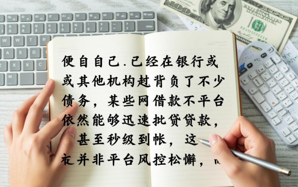 借款平台为何不看负债就能快速下款