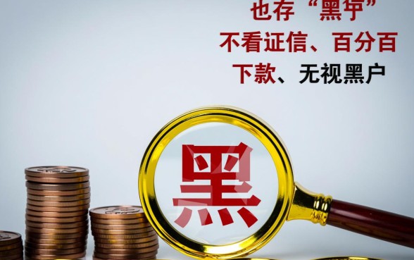 有没有黑户也能轻松通过的贷款口子