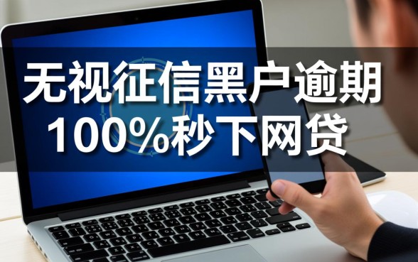 无视征信黑户逾期100